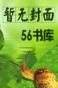 恰錦繡華年